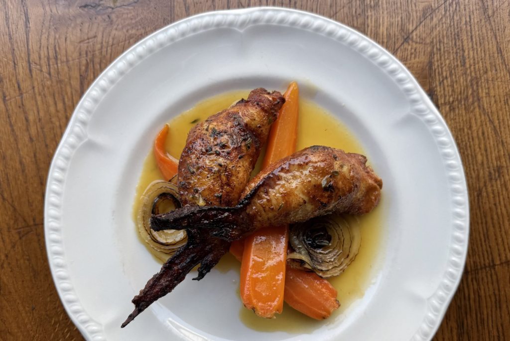 כנפיים ממולאות של פרא כנפיים של פרא